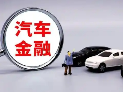 泸水押车贷款不是本人可以么?